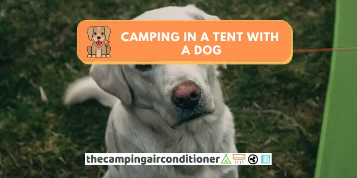 Camping in a tent with a dog