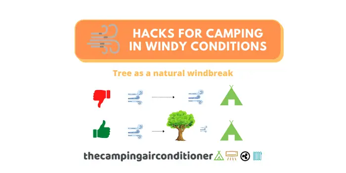 hacks for camping in windy conditions - tree as windbreak