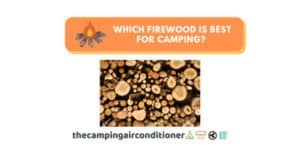 which firewood is best for camping