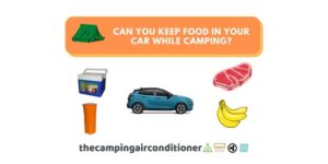 can you keep food in your car while camping