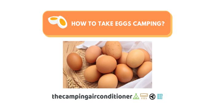 how to take eggs camping
