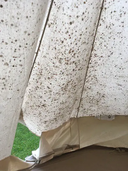 moldy tent and stains